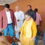 IMG-20251201-WA1189(1)